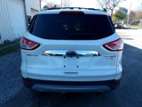 Used 2014 Ford Escape Titanium w/ Equipment Group 401A image 4