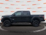 Used 2013 Ford F150 FX4 image 2