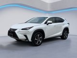 Used 2018 Lexus NX 300h AWD w/ Premium Package image 6