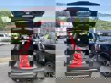 New 2025 Ford Escape ST-Line Elite w/ Tech Pack #1 image 5