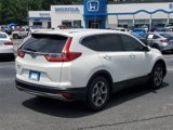 Used 2019 Honda CR-V EX-L image 6