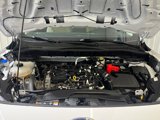 Certified 2022 Ford Escape SE w/ Convenience Package image 5