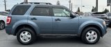 Used 2011 Ford Escape XLT image 5