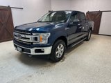 Used 2019 Ford F150 XLT w/ Equipment Group 302A Luxury image 3
