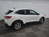 Used 2022 Ford Escape SE w/ Convenience Package image 3