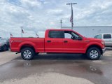 Used 2017 Ford F150 XLT w/ Equipment Group 301A Mid image 4