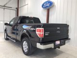 Used 2012 Ford F150 XLT w/ XLT Chrome Pkg image 5