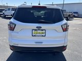 Used 2017 Ford Escape SE w/ SE Sport Appearance Package image 4