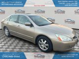 Used 2005 Honda Accord EX-L image 3