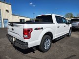 Certified 2017 Ford F150 XLT w/ Equipment Group 302A Luxury image 3