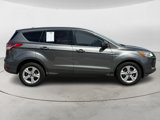 Used 2014 Ford Escape SE image 3