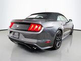 Used 2020 Ford Mustang Premium image 4