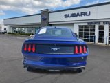 Used 2016 Ford Mustang Premium w/ Equipment Group 201A image 4