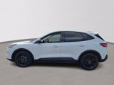 Used 2020 Ford Escape SE Sport image 4