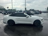 Used 2019 Ford Mustang Premium image 6