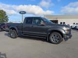 Used 2016 Ford F150 XLT w/ Equipment Group 302A Luxury image 2