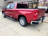 Used 2020 Chevrolet Silverado 1500 LT w/ All-Star Edition image 4