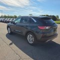 Used 2022 Ford Escape SE w/ Cold Weather Package image 3