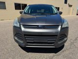 Used 2014 Ford Escape SE image 2