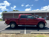 Used 2013 Ford F150 XLT w/ Luxury Equipment Group image 5