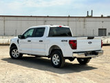 New 2025 Ford F150 XL w/ Equipment Group 104A Hybrid image 5