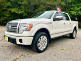 Used 2010 Ford F150 Platinum image 2