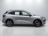 Used 2024 Ford Escape ST-Line w/ Tech Pack #1 image 4