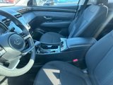 Used 2024 Hyundai Tucson SEL image 3