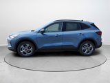 New 2025 Ford Escape ST-Line w/ Cold Weather Package image 6