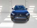 Used 2019 Toyota RAV4 XLE Premium image 2