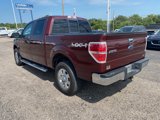 Used 2010 Ford F150 XLT image 5