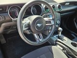 Used 2019 Ford Mustang Coupe image 5