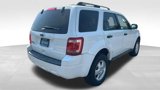 Used 2012 Ford Escape XLT w/ Cargo Pkg image 5