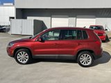 Used 2014 Volkswagen Tiguan SE image 4