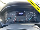 Used 2019 Ford EcoSport SE w/ SE Convenience Package image 3