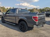 Used 2013 Ford F150 XLT w/ XLT Chrome Pkg image 6