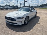 Used 2019 Ford Mustang Premium w/ Pony Package image 3
