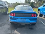 Used 2019 Ford Mustang Coupe w/ Equipment Group 101A image 5