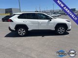 Used 2019 Toyota RAV4 LE image 3