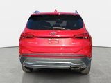 Used 2023 Hyundai Santa Fe Limited image 4