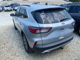 Used 2020 Ford Escape Titanium image 5