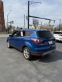 Used 2017 Ford Escape SE w/ SE Cold Weather Package image 4