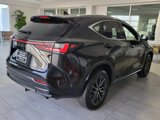 Used 2023 Lexus NX 350 AWD w/ Premium Package image 6