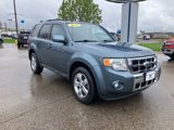 Used 2010 Ford Escape Limited image 2