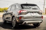Used 2020 Ford Escape SEL image 6