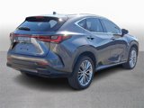 Used 2023 Lexus NX 300h AWD w/ Rear Seat Package image 4
