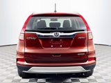 Used 2016 Honda CR-V Touring image 5