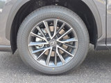 New 2025 Lexus NX 350 AWD image 5