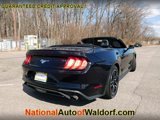 Used 2021 Ford Mustang Premium image 4