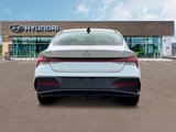 New 2025 Hyundai Elantra SEL image 6